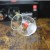 Szklanka niska RCR Alkemist 380 ml, Tumbler eco-crystal